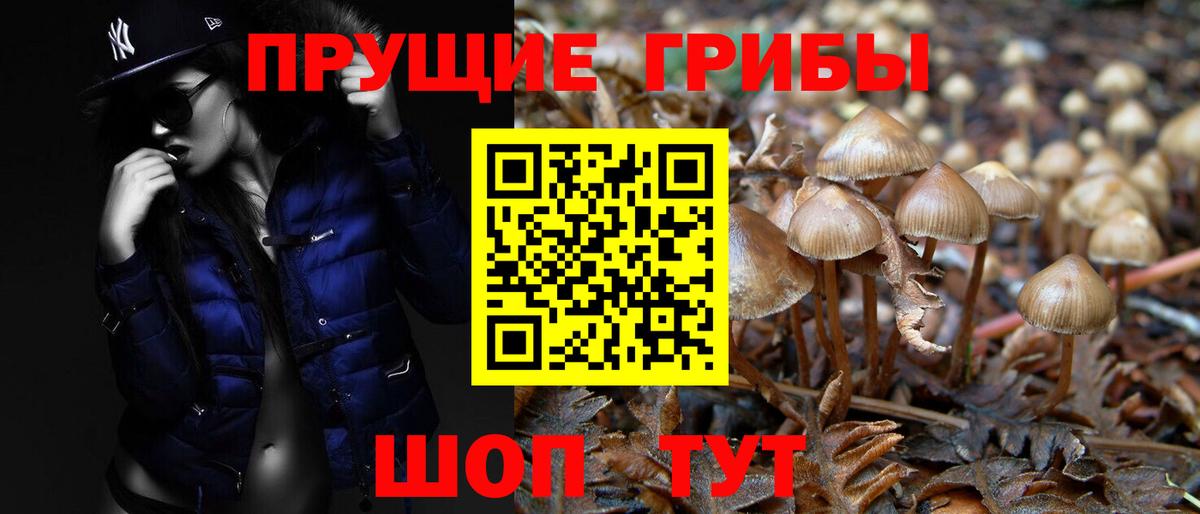 Галлюциногенные грибы ЛСД  Вход с VPN  Клин 