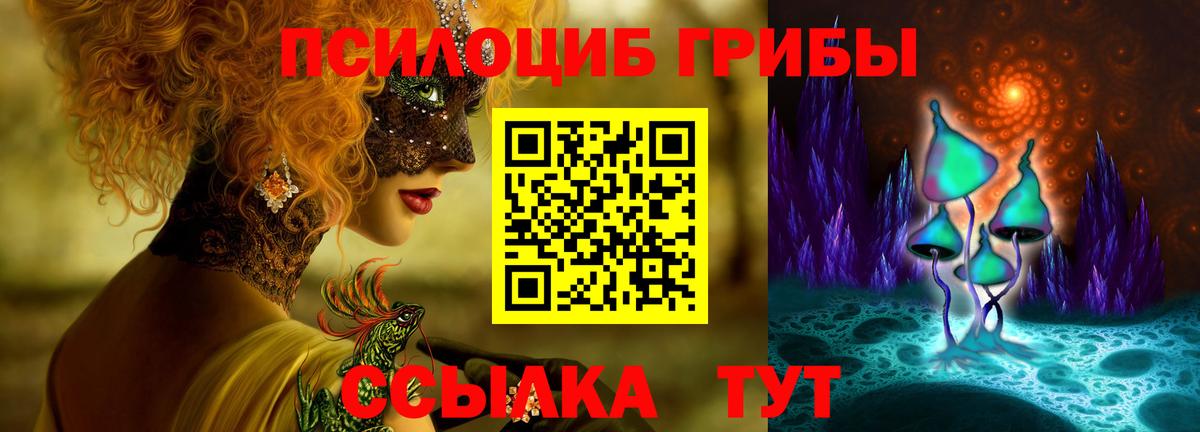 Галлюциногенные грибы Cubensis Клин